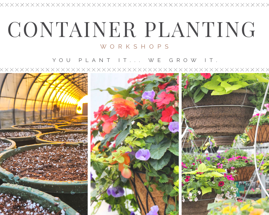 Container Planting Workshop