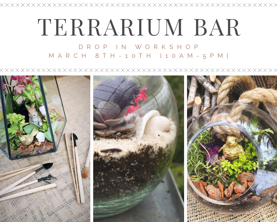 Terrarium Bar- Drop in Workshop
