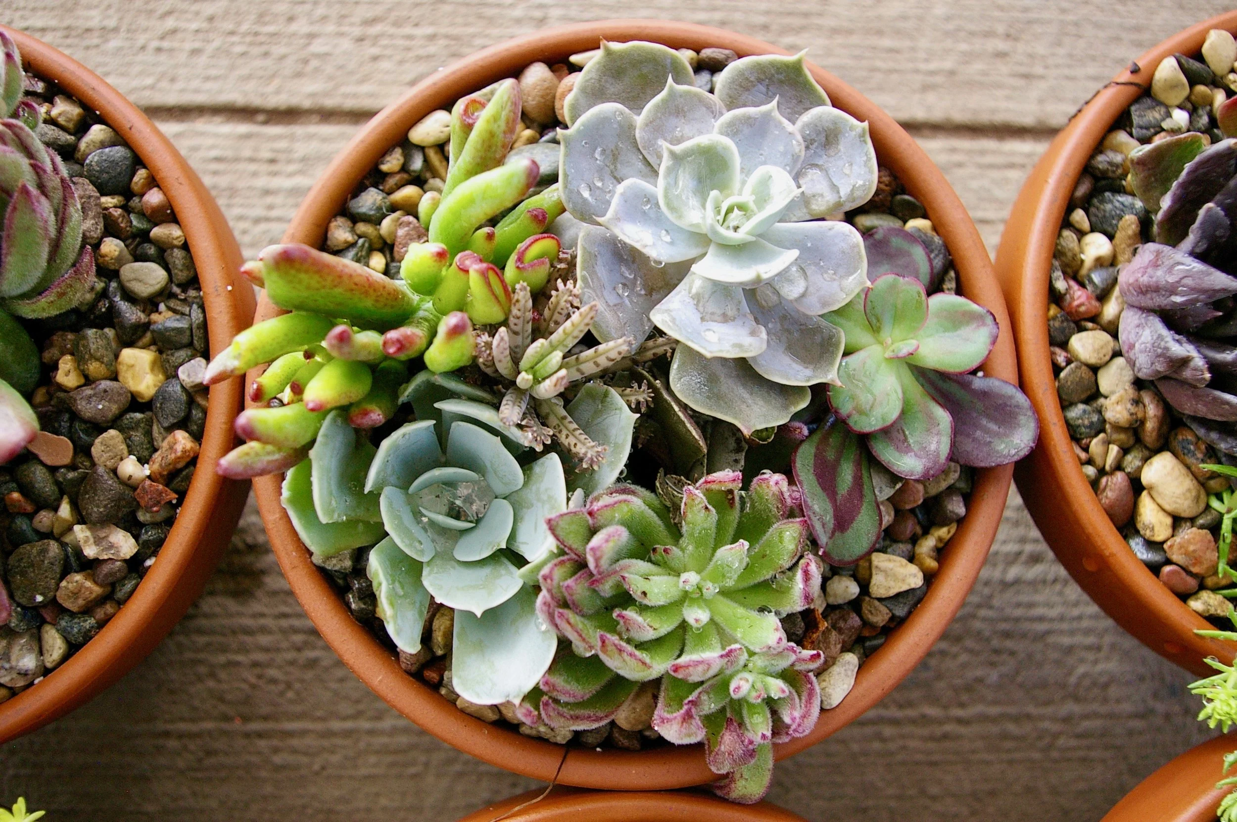 Ladies Night Out With The Prior Lake Chamber