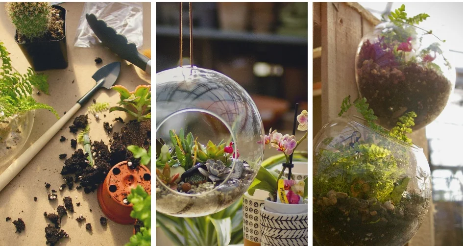 Terrarium Bar- Drop in Workshop