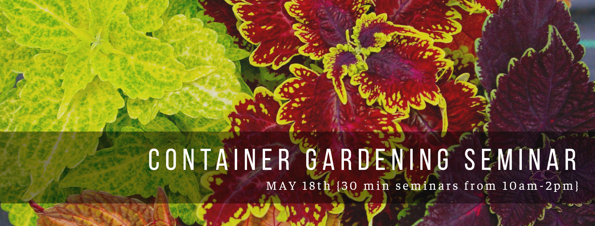 Container Gardening Seminar 