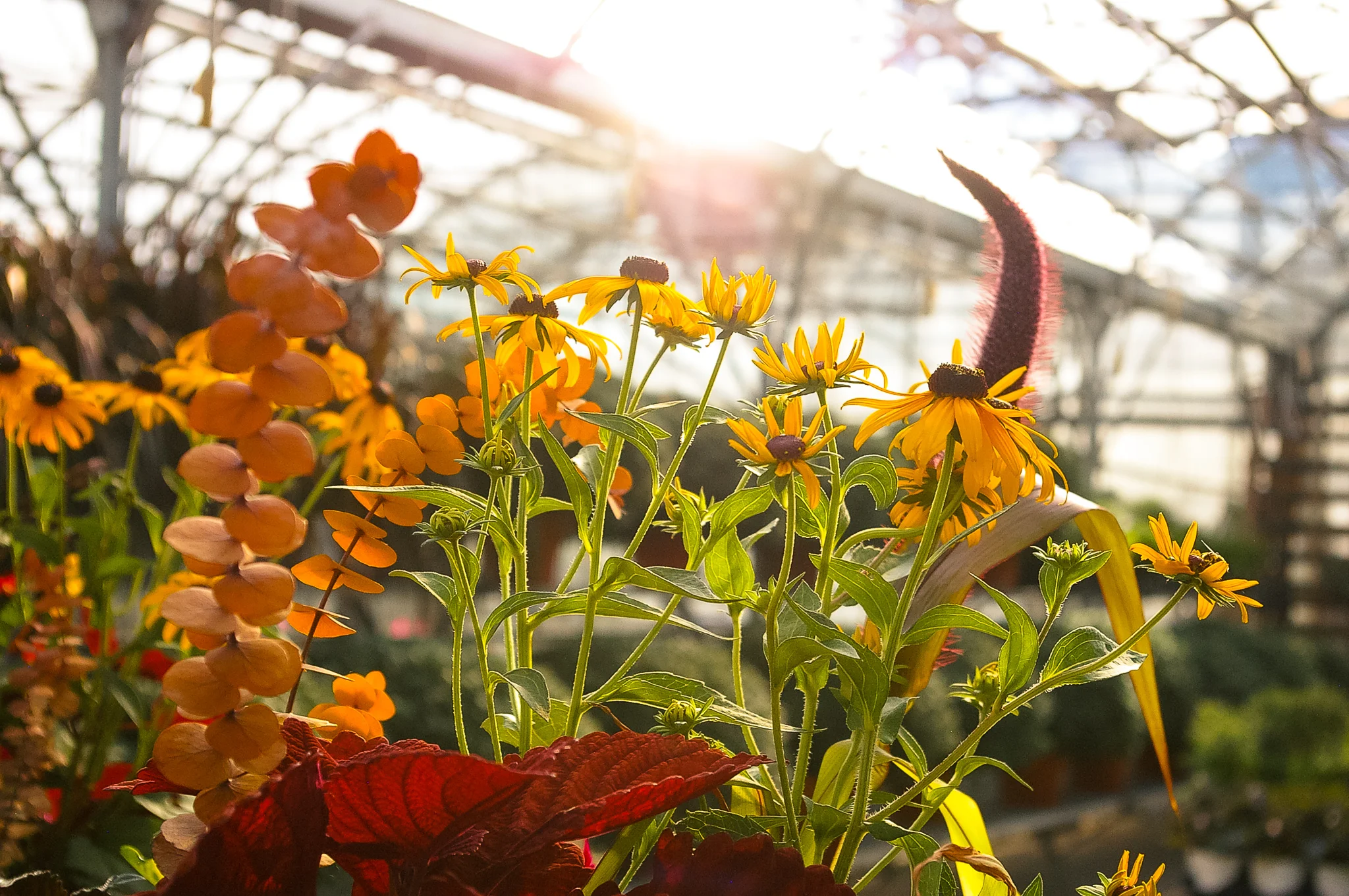 Fall Container Gardening Workshop