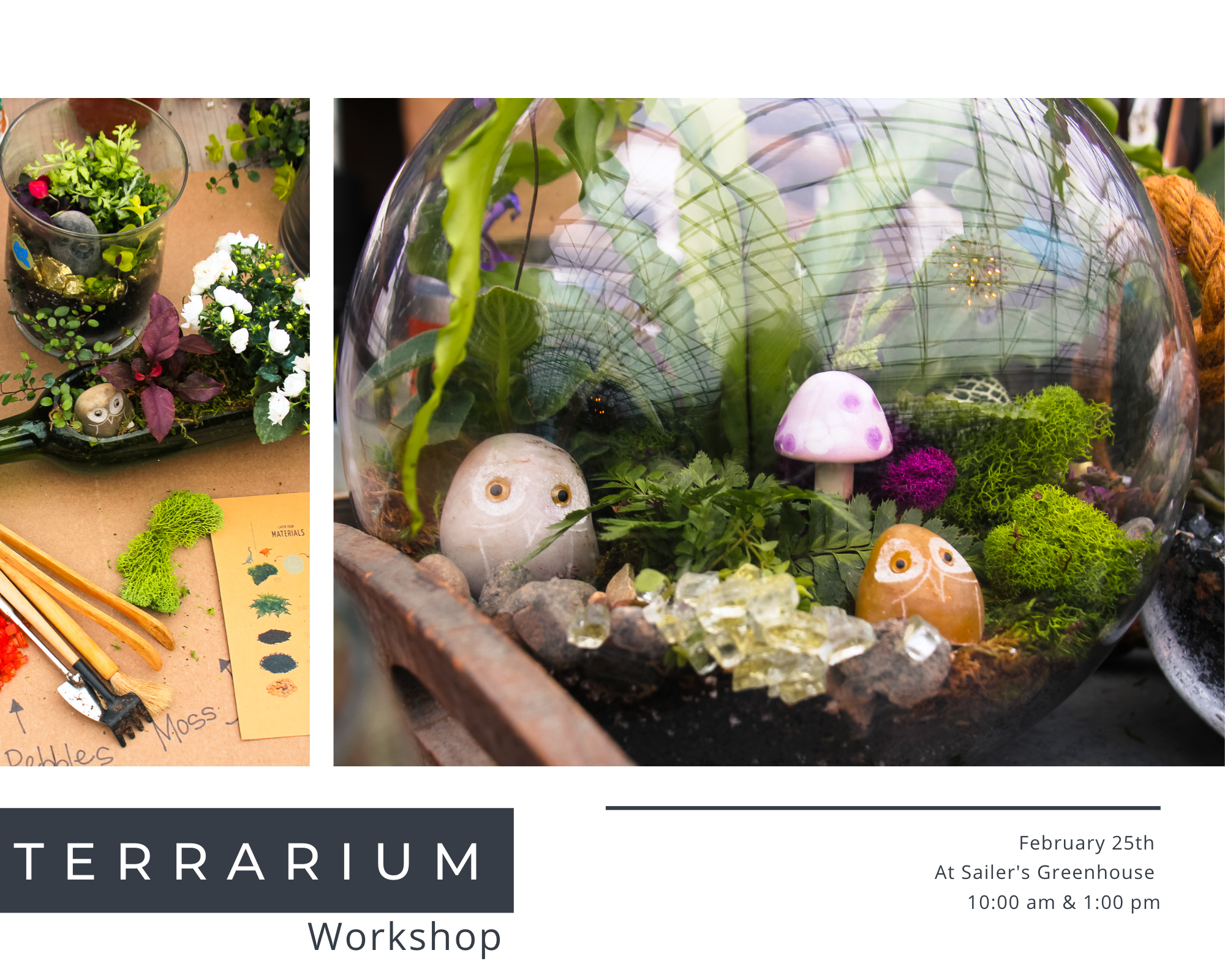 Terrarium Workshop