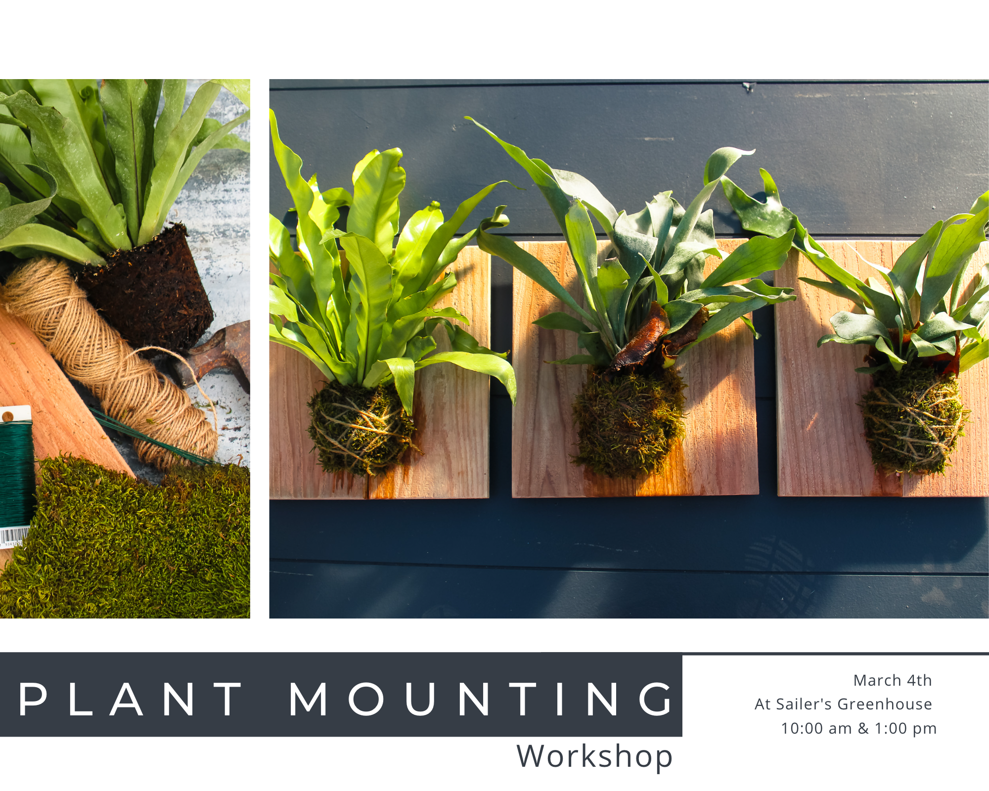 Plant Mounting Workshop