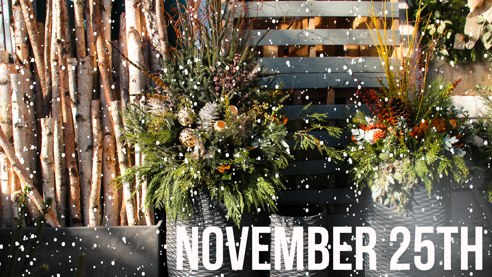Winter Workshop- November 25th