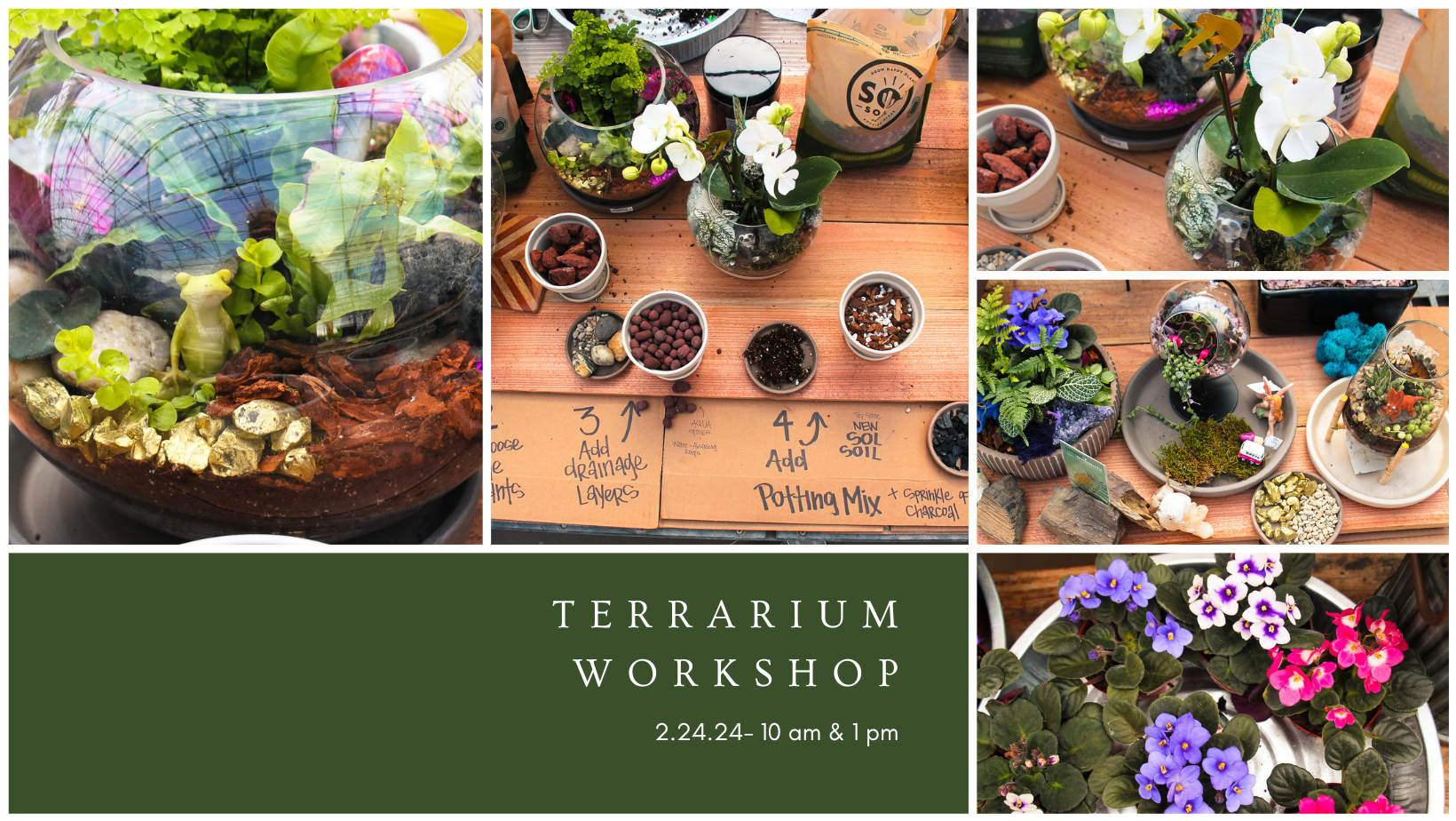 Terrarium Workshop