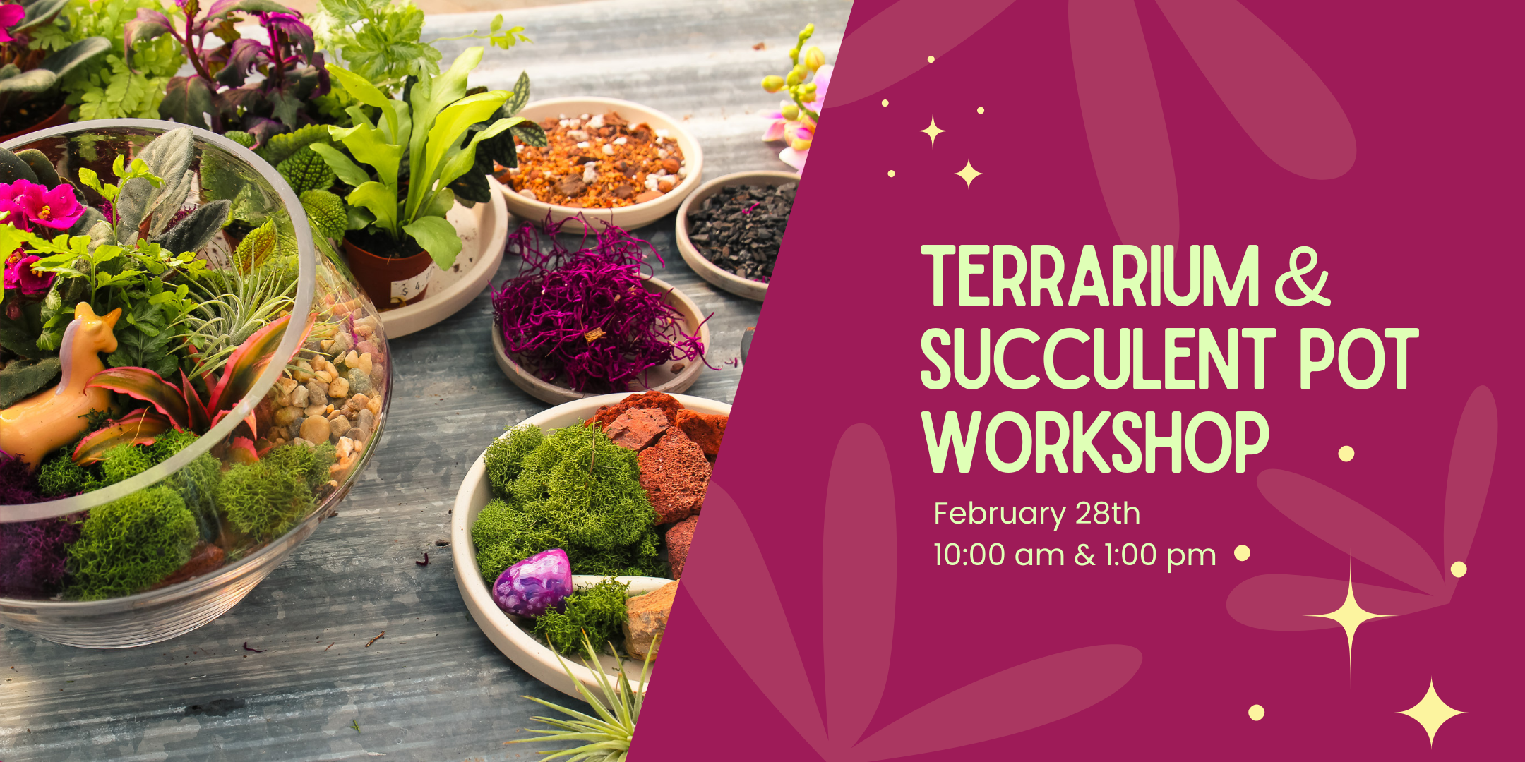 Terrarium &amp; Succulent Workshop
