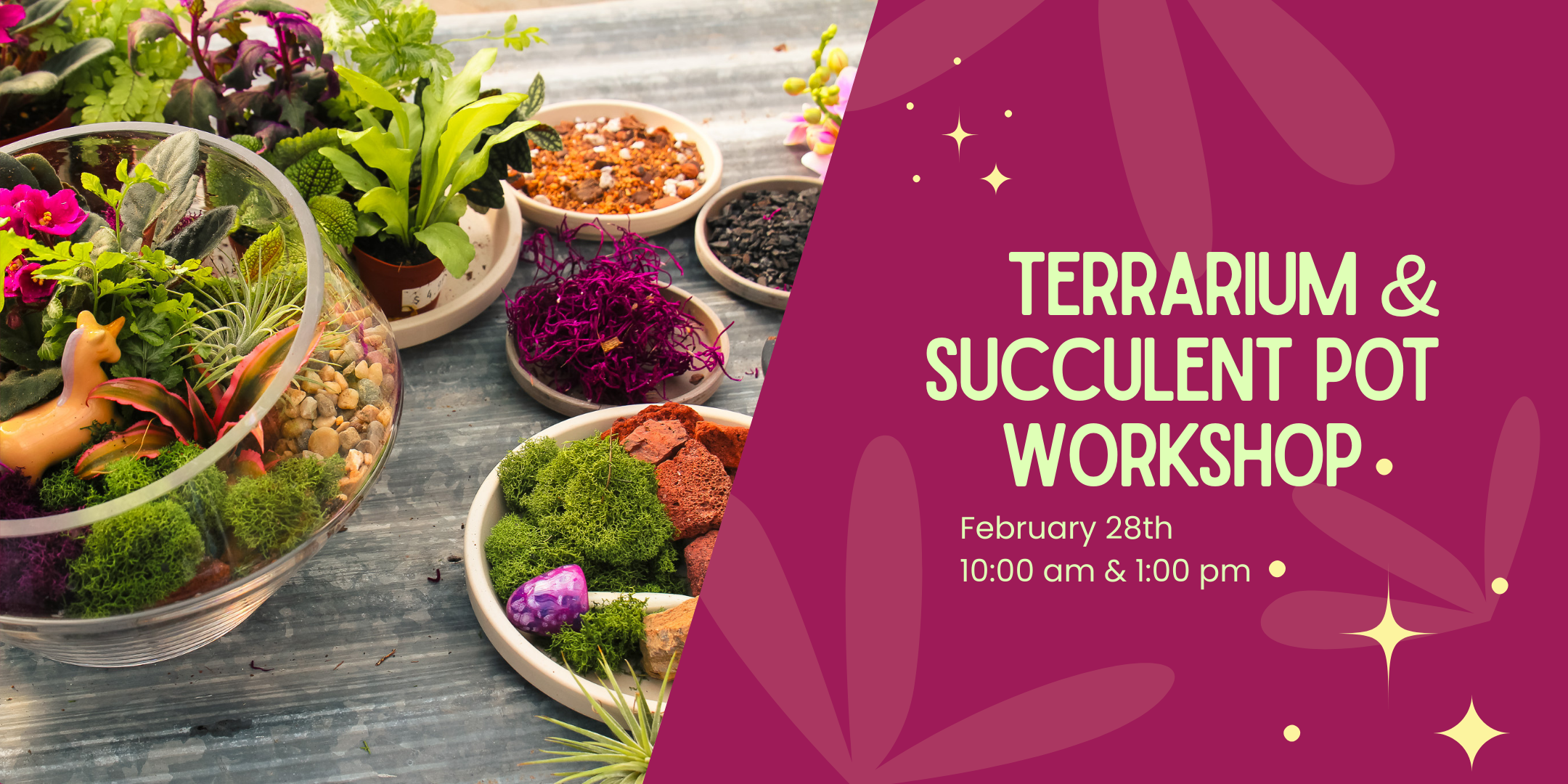 terrarium workshop.png