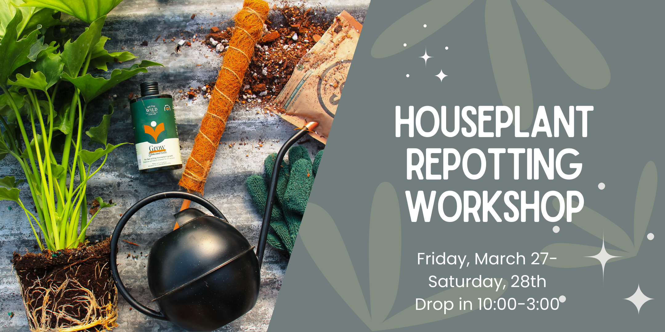 Houseplant Repotting Workshop