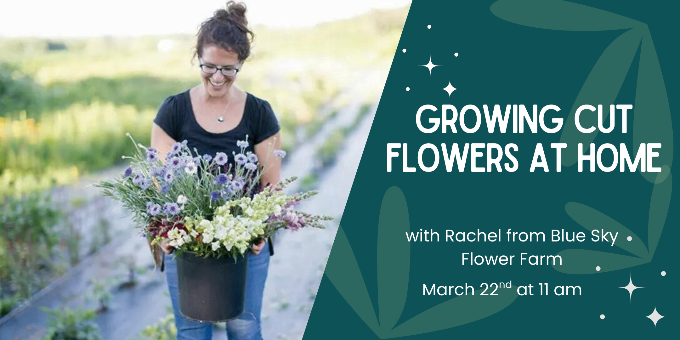 Growing Cut Flowers at  Home