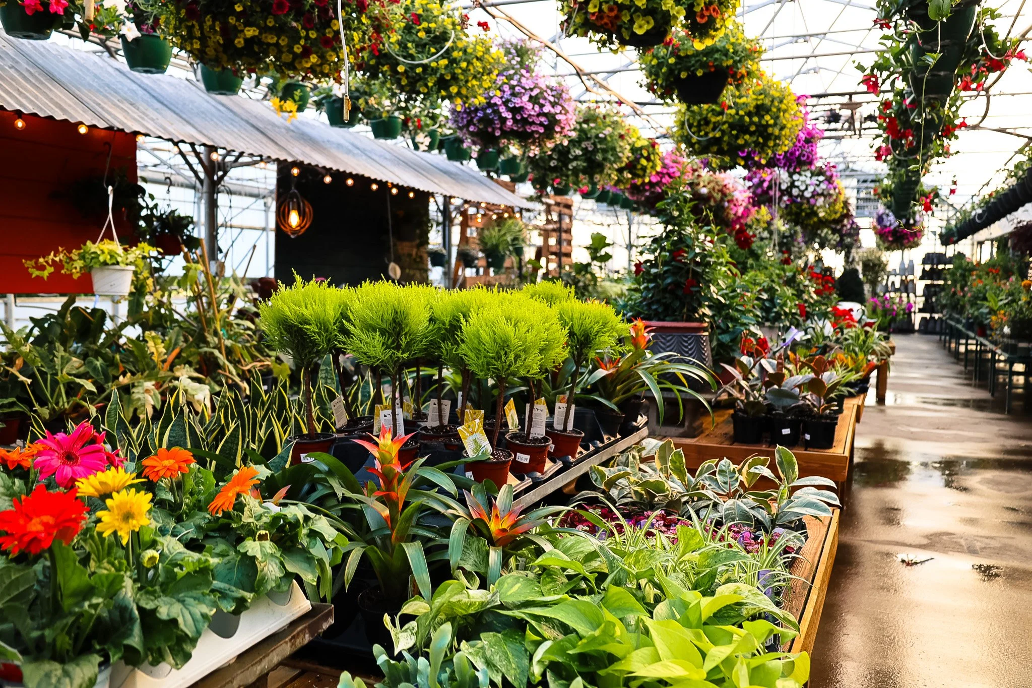 5P0A6623.jpg