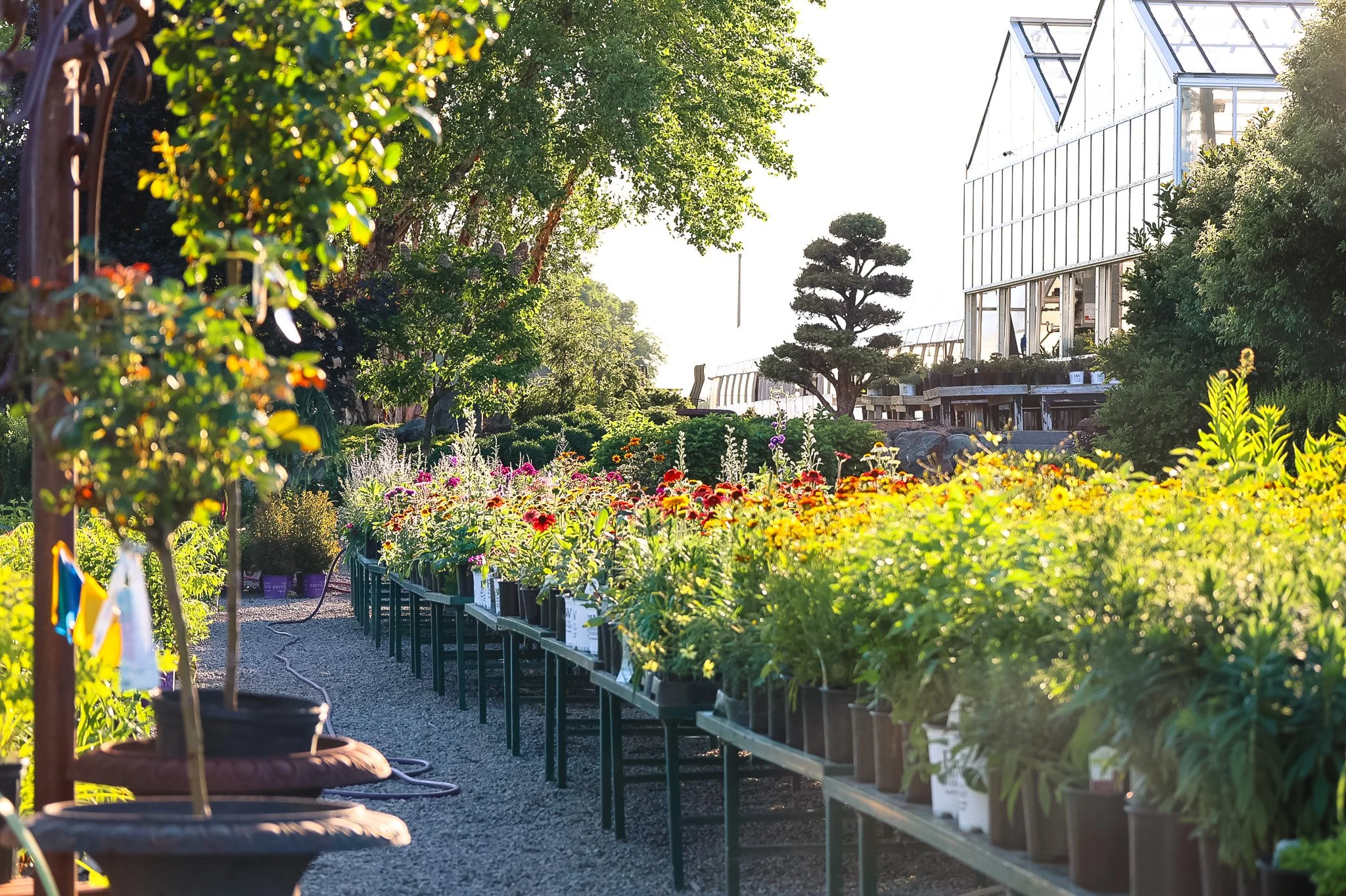 5P0A9920.jpg