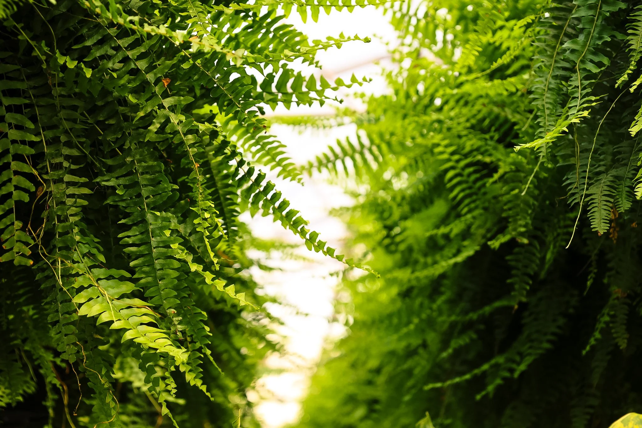 5P0A7310.jpg