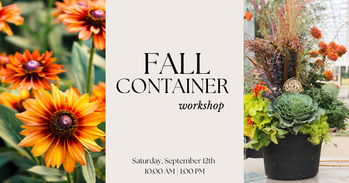 Fall Container Workshop!