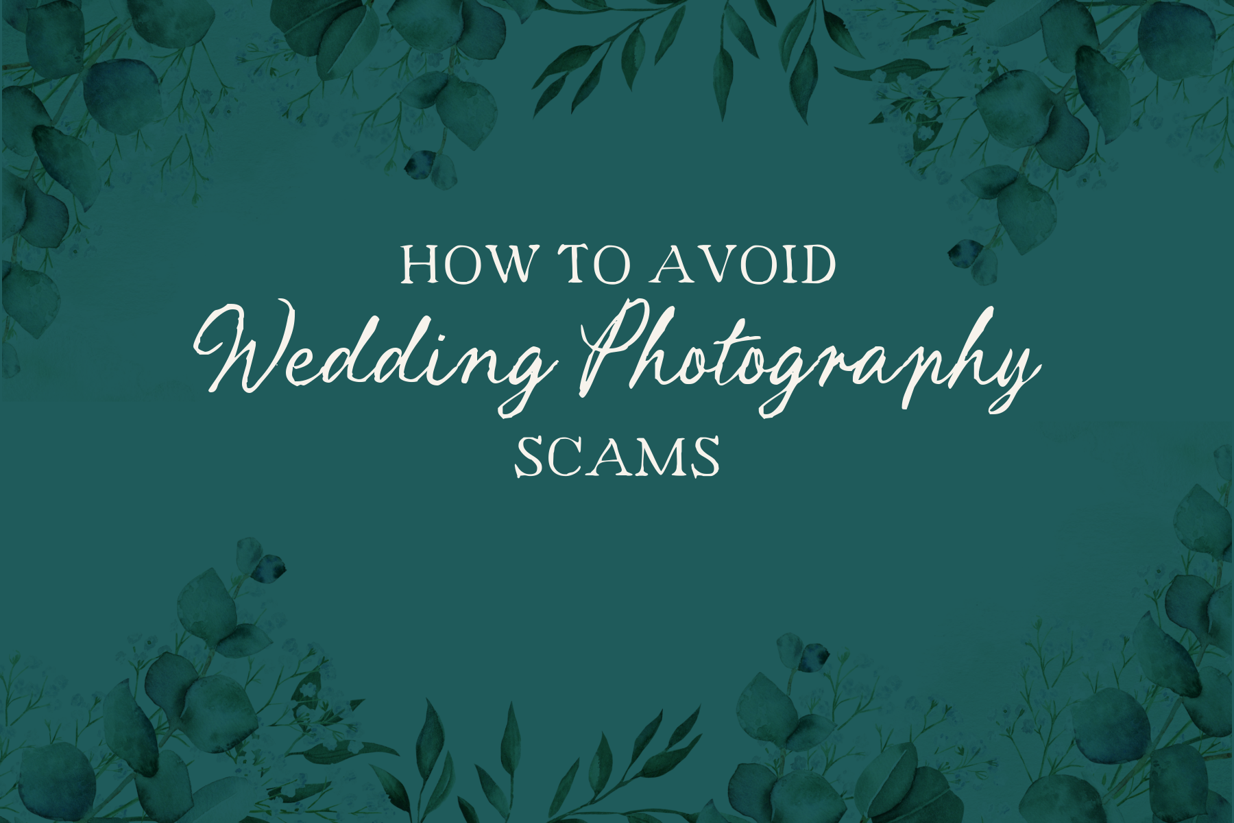 Tips and Tricks to Avoid Michigan Wedding Photography Scams