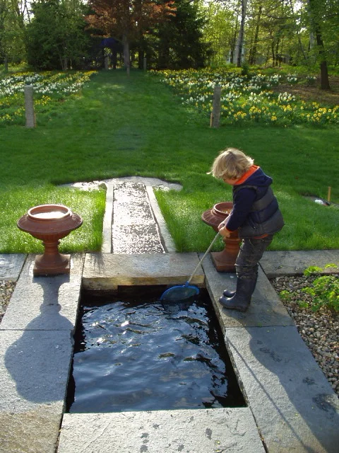 Pinfeather water feature