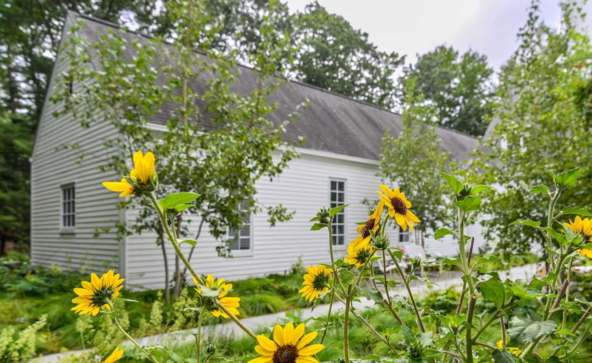 red-door-sunflowers.jpg