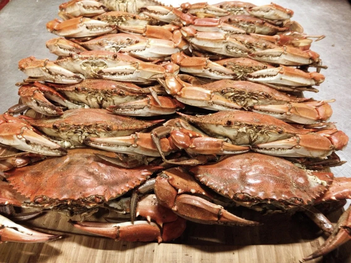 blue crab.jpg