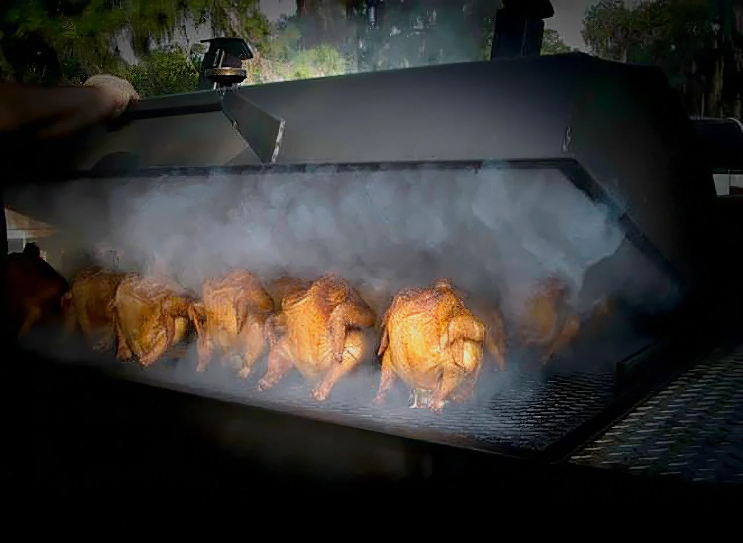 Chickens Whole B.jpg