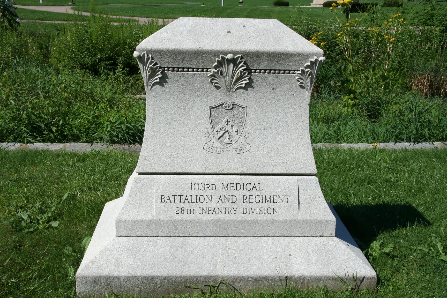 103rd Med.jpg