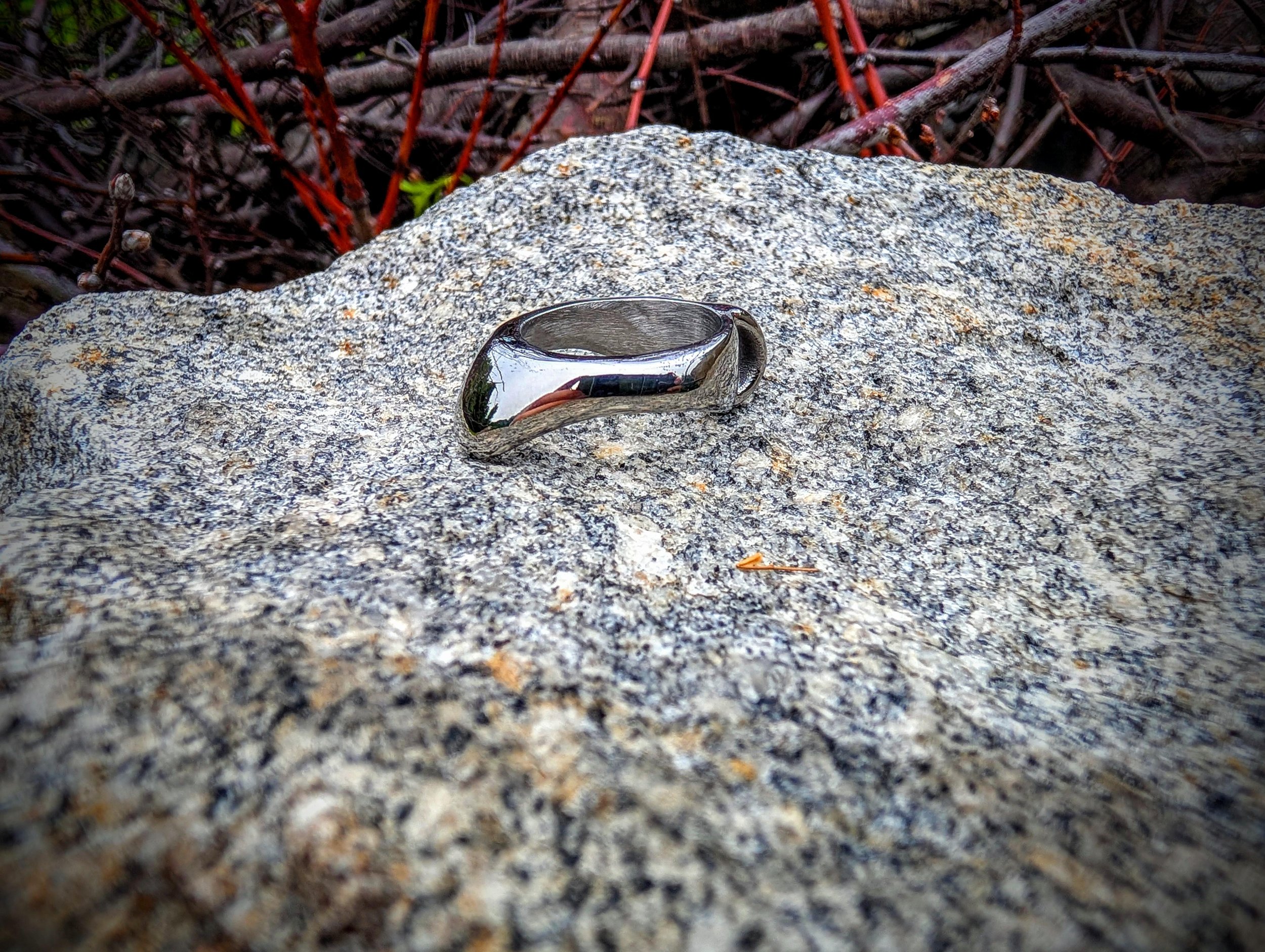 polished-titanium-signal-2026-06-12-144820_005.jpeg