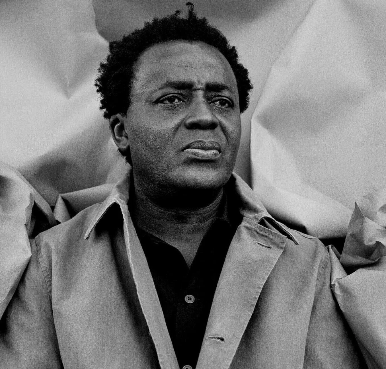 Profile: John Akomfrah: An Artist Who Brings Order to Chaos