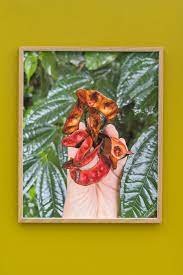 Lucía Pizzani : MERUNTÖ: In the house of spirits