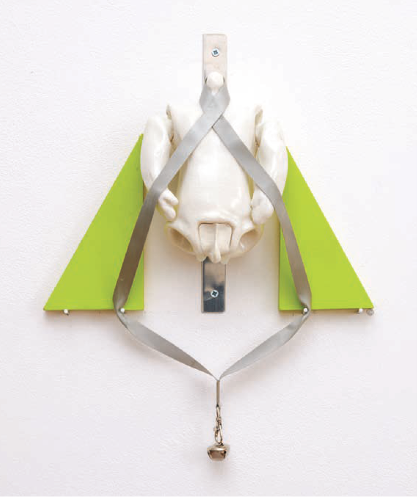 Proving a Different Rule: A Conversation with Jesse Darling