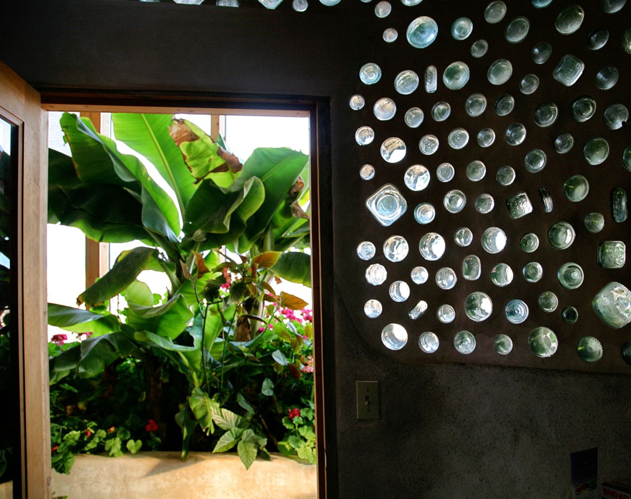 K banana plus bottles.jpg