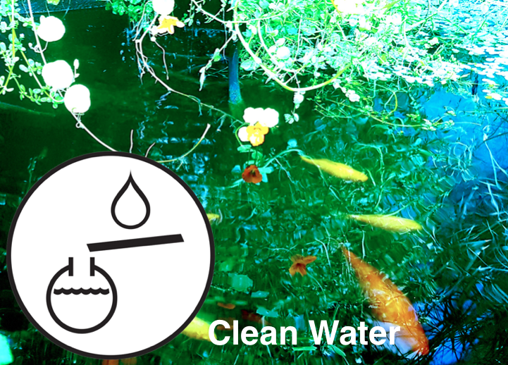 Screen Shot 2019-05-09 at 14.03.42.png