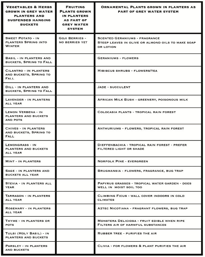 Screen Shot 2019-06-17 at 12.37.57 PM.png