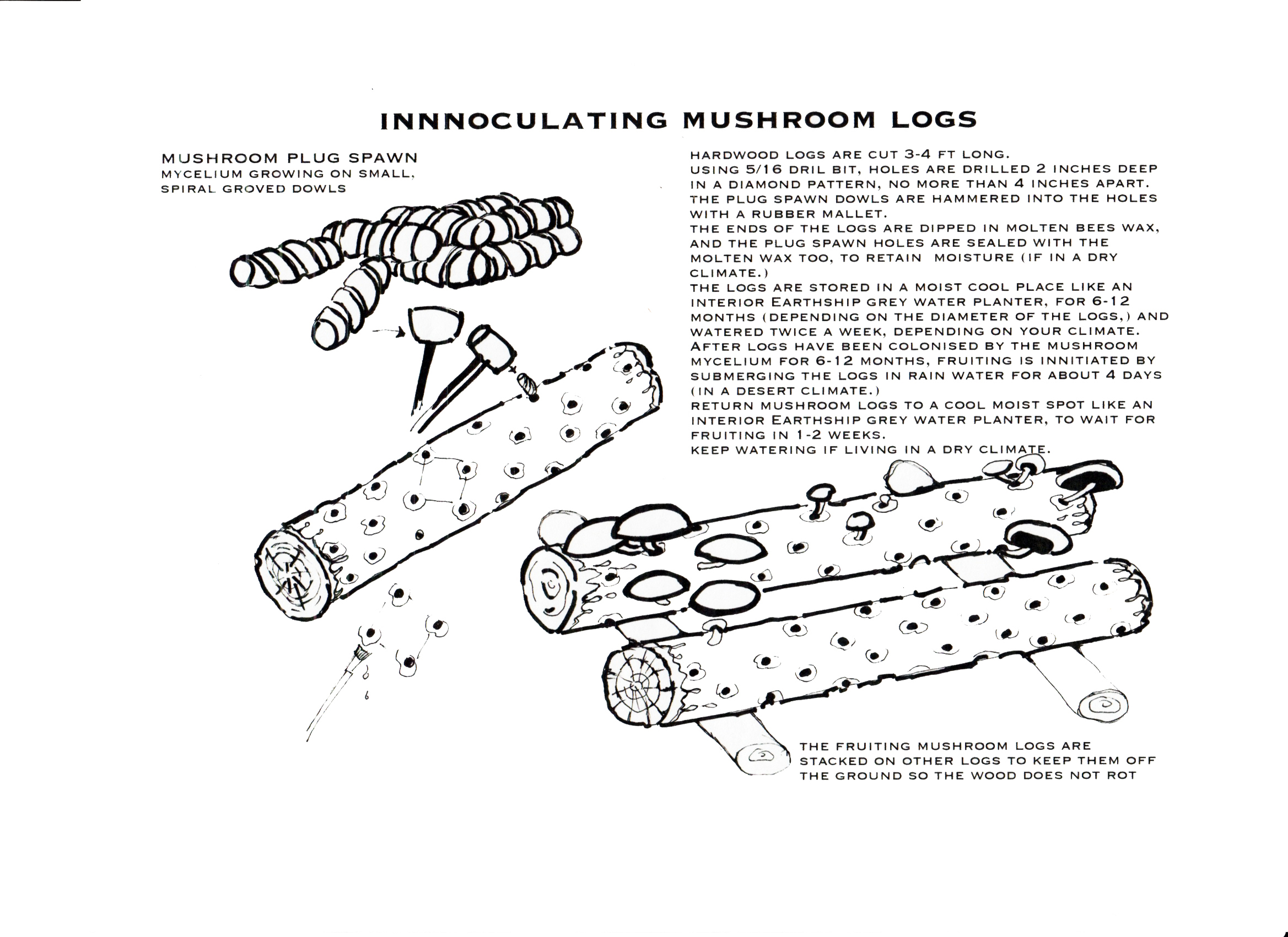 Innoculating Mushroom Logs.jpeg