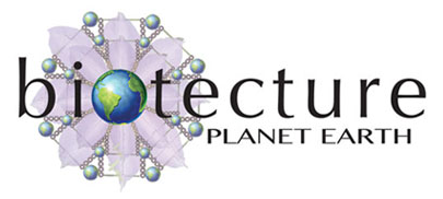 Screen Shot 2020-12-03 at 11.50.12.png