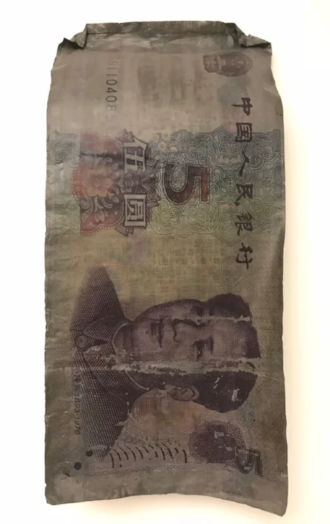 5 Renminbi
