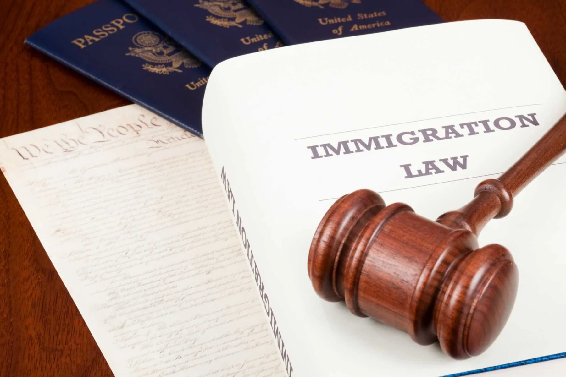 Immigration 101