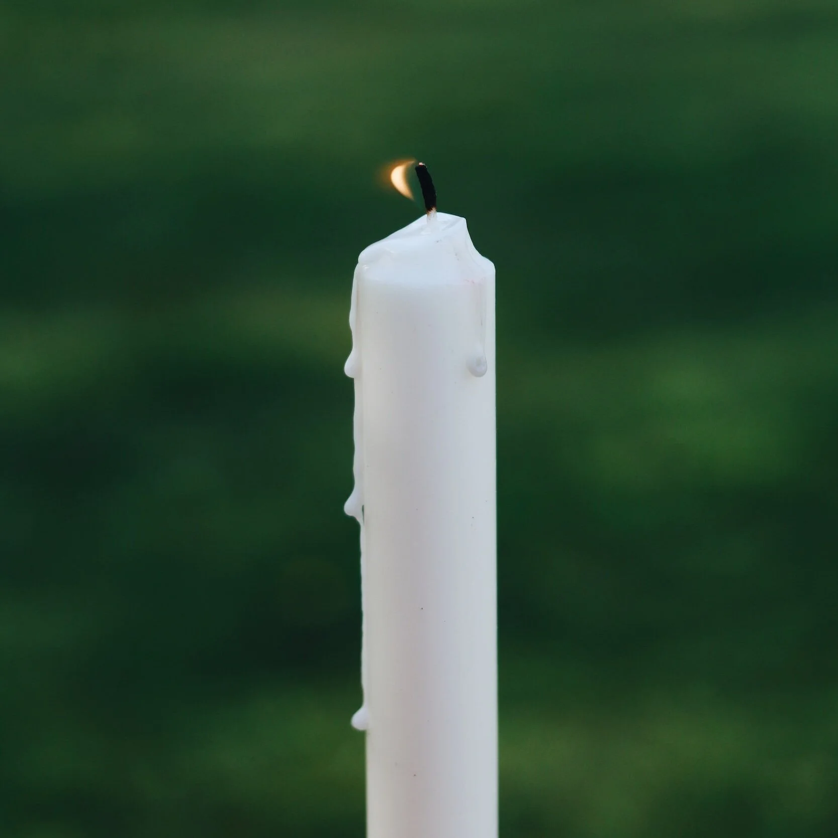 La delicata fase del lutto