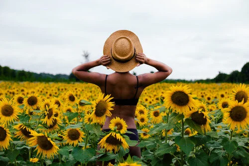 Hella Busy: The 5 Minuet Miracle