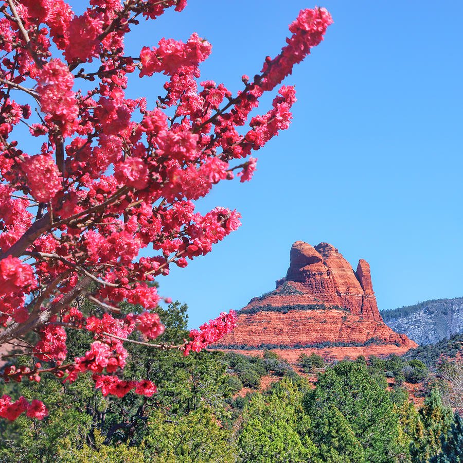 Indigenous Meditation: Live from the Red Rocks of Sedona