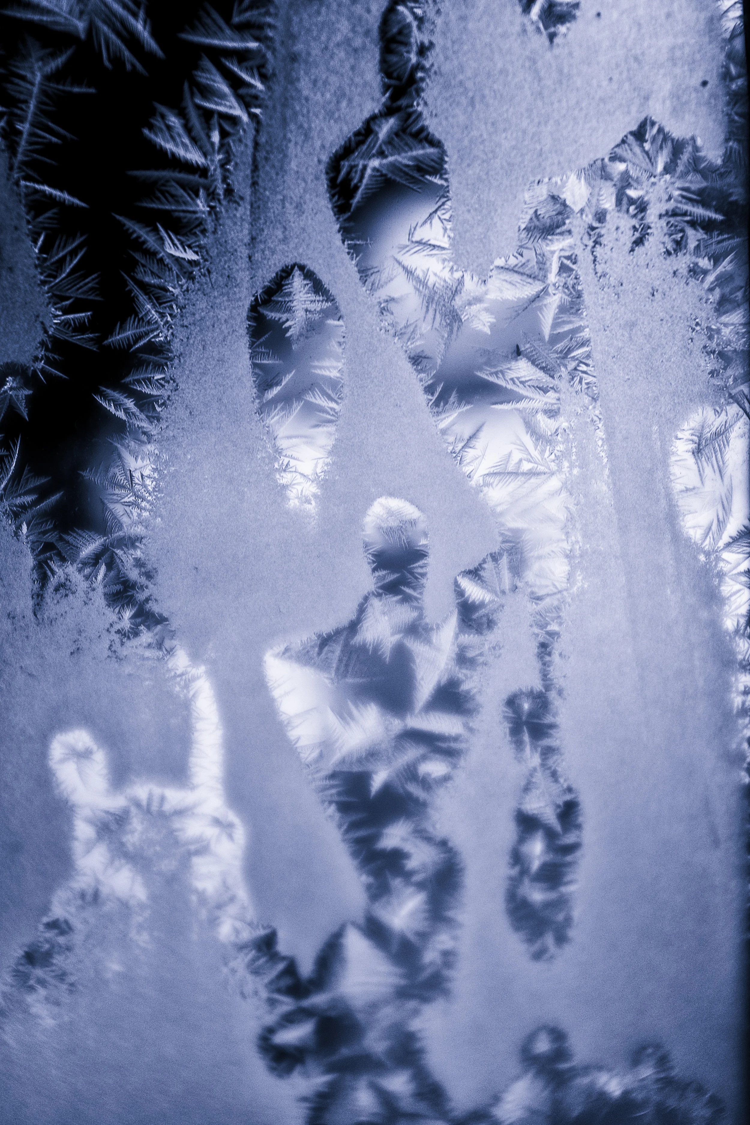 Frosty morning-1.JPG