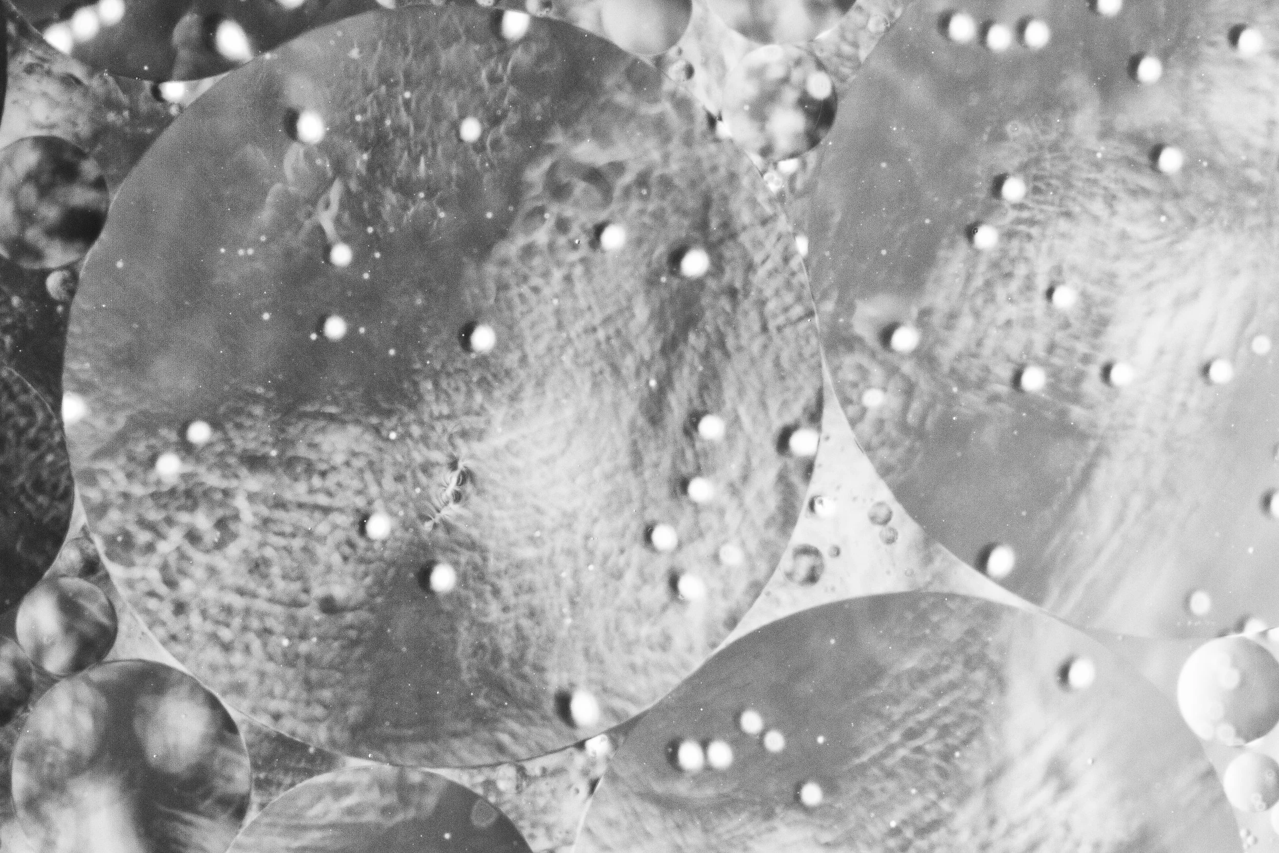 Oil and Water 2-1.JPG