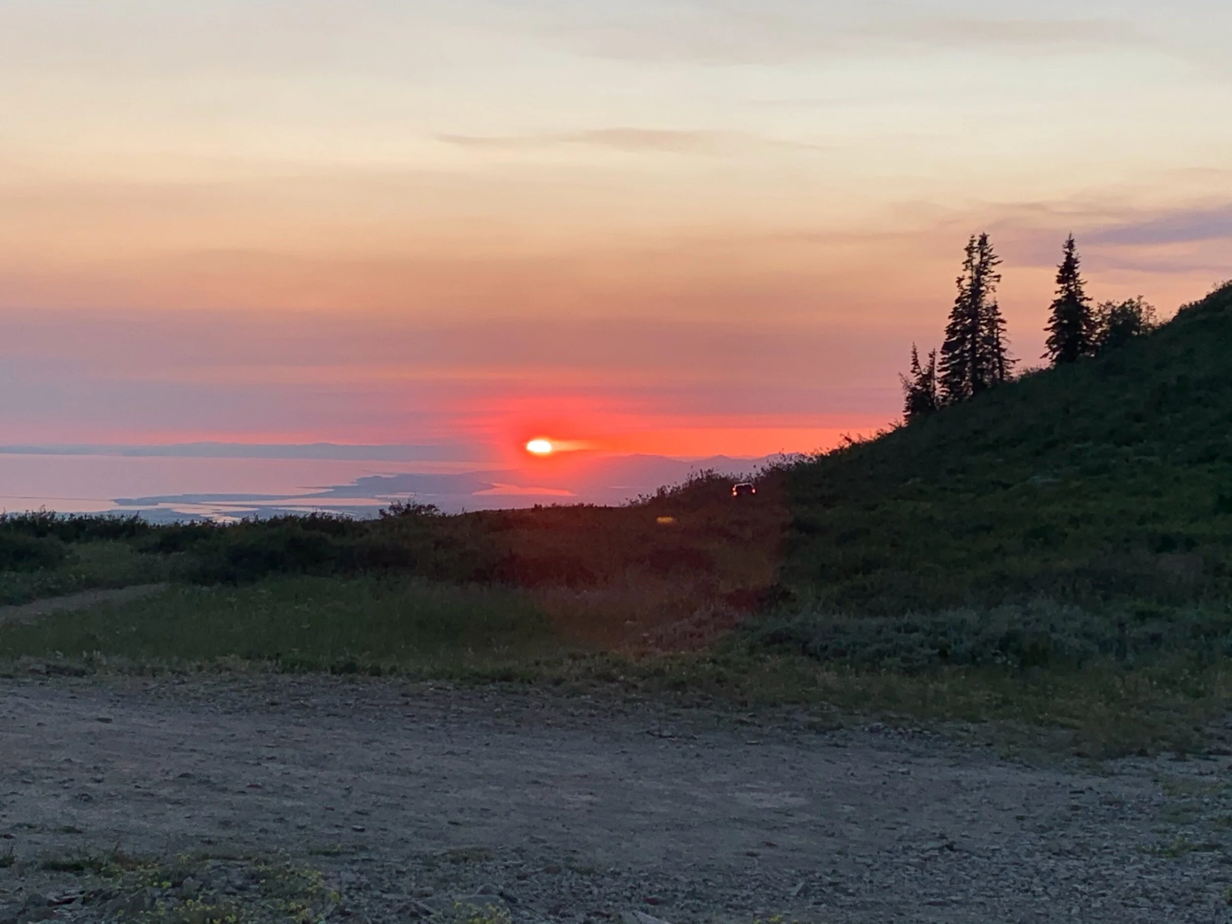 The not quite best summer ever