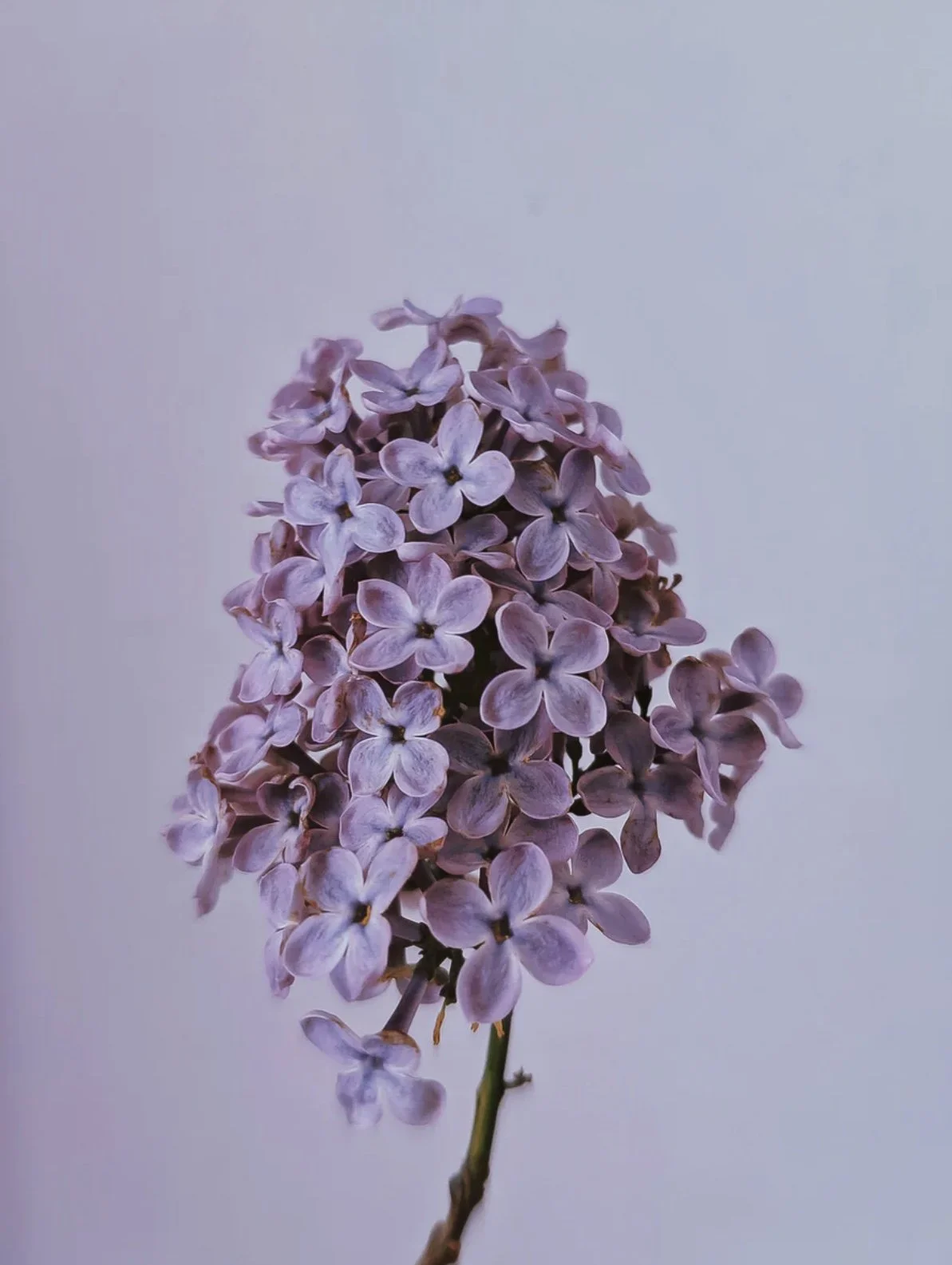 Embracing my feelings