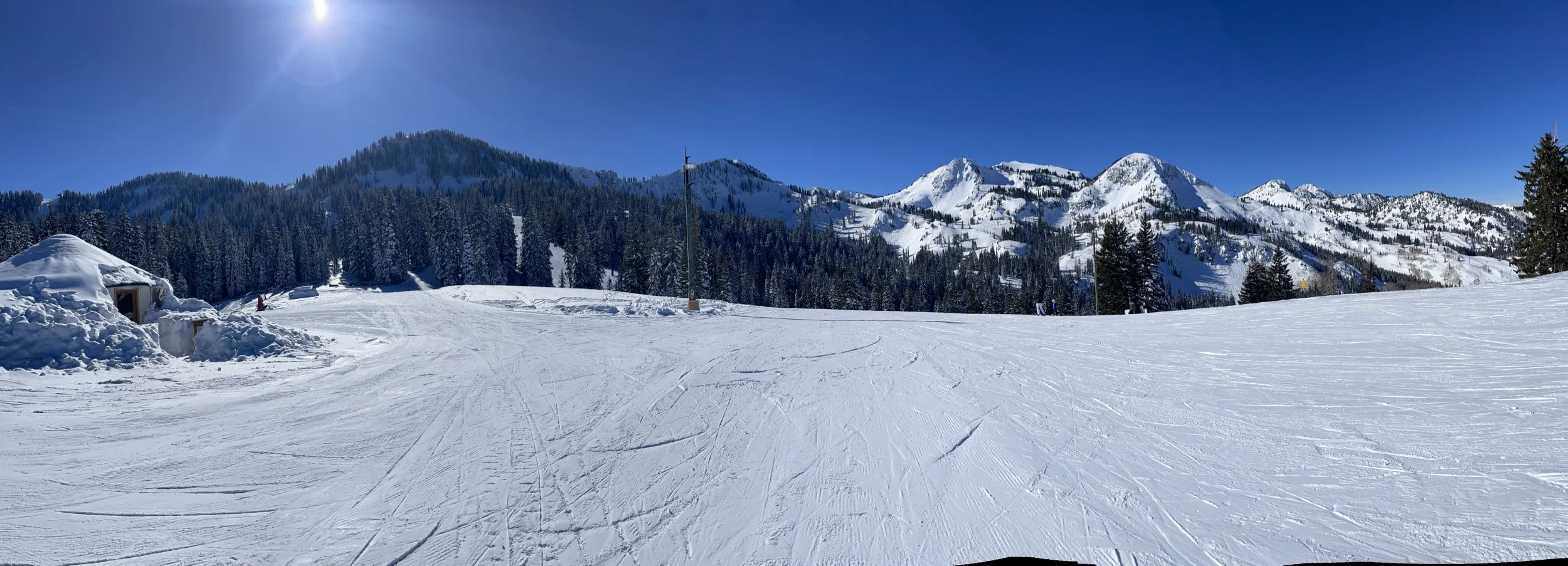 I Just Wanna Celebrate