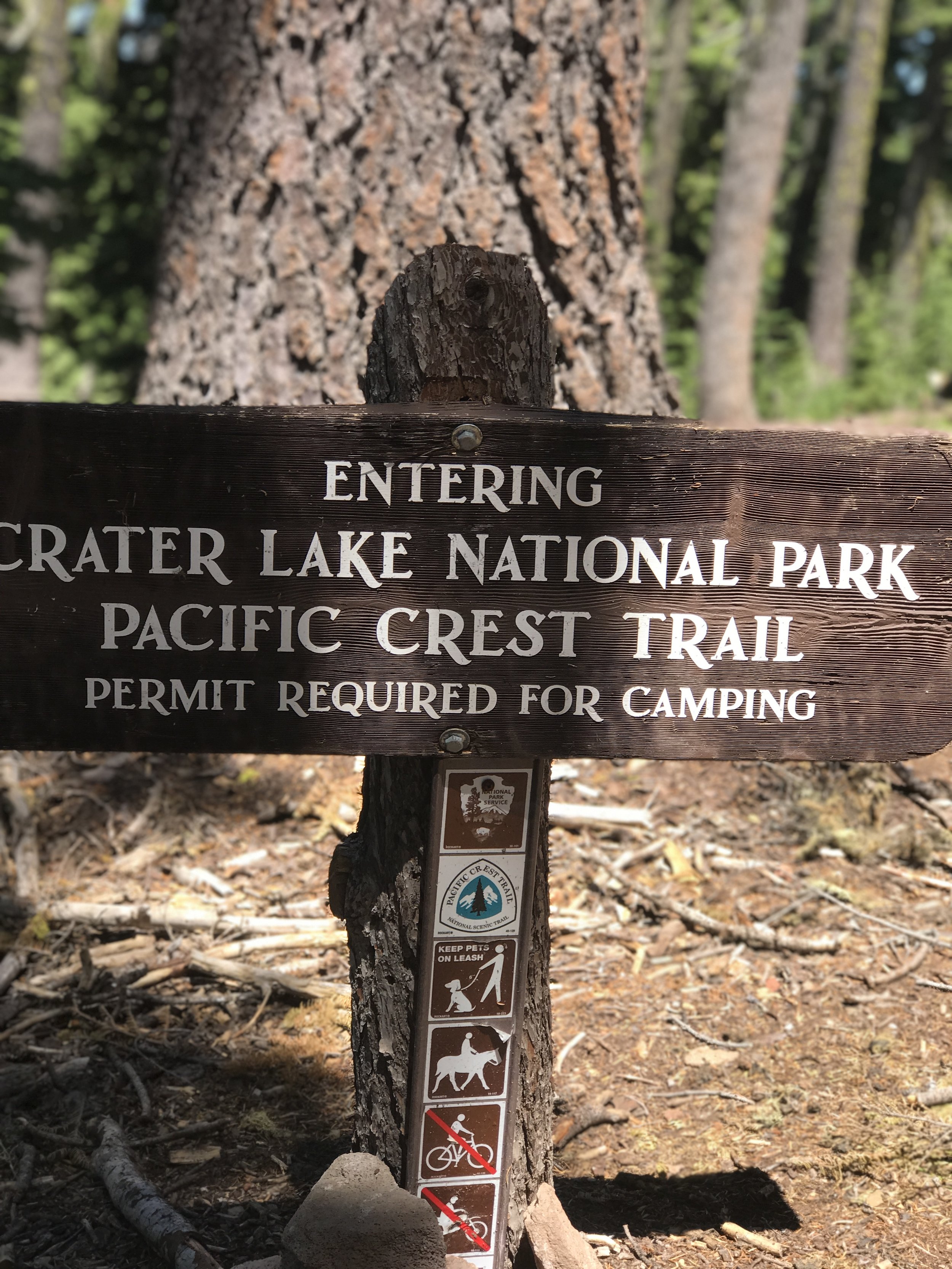 Week 1: Ashland to Crater Lake