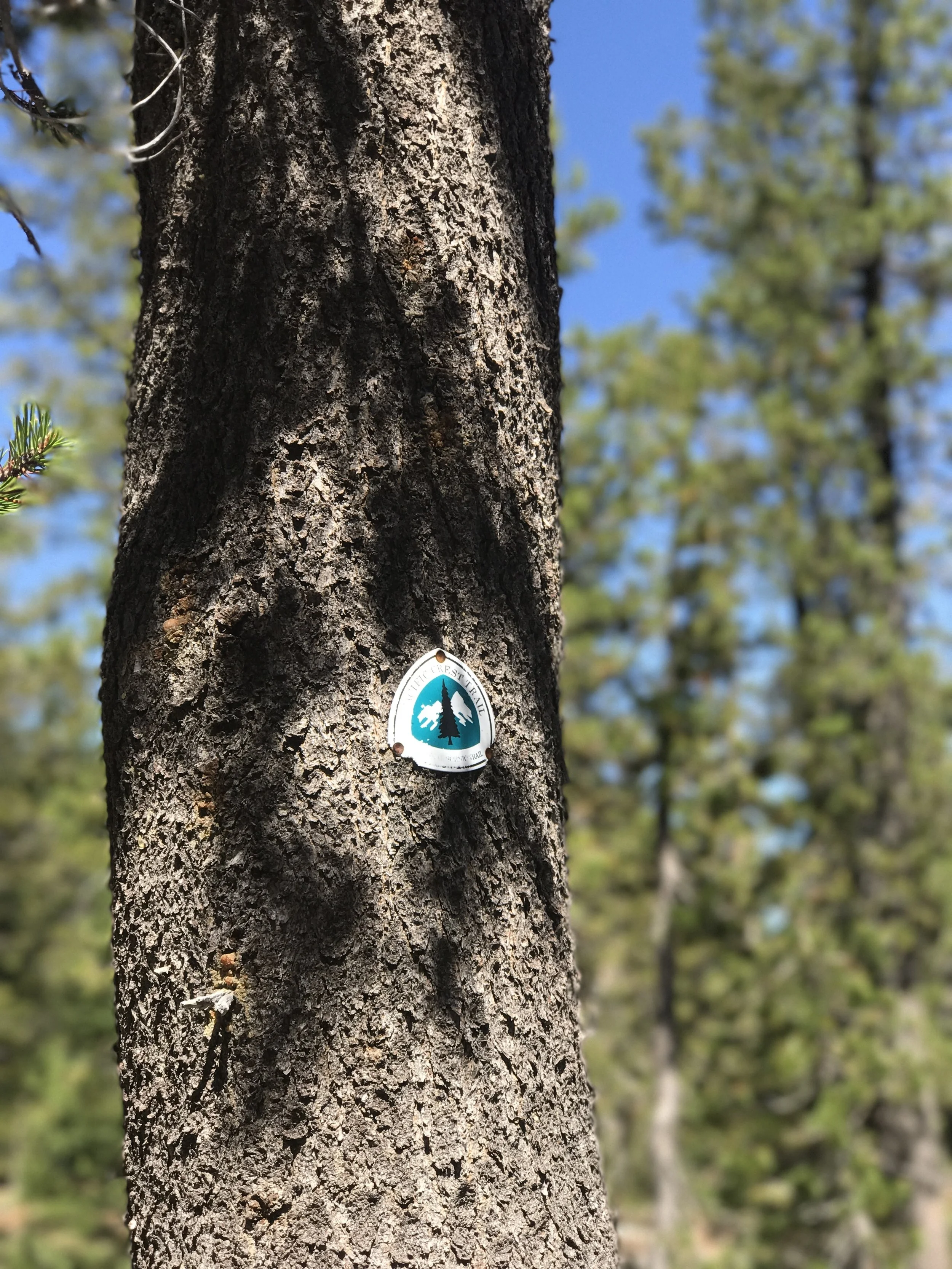 Week 2: Crater Lake to Big Lake Youth Camp