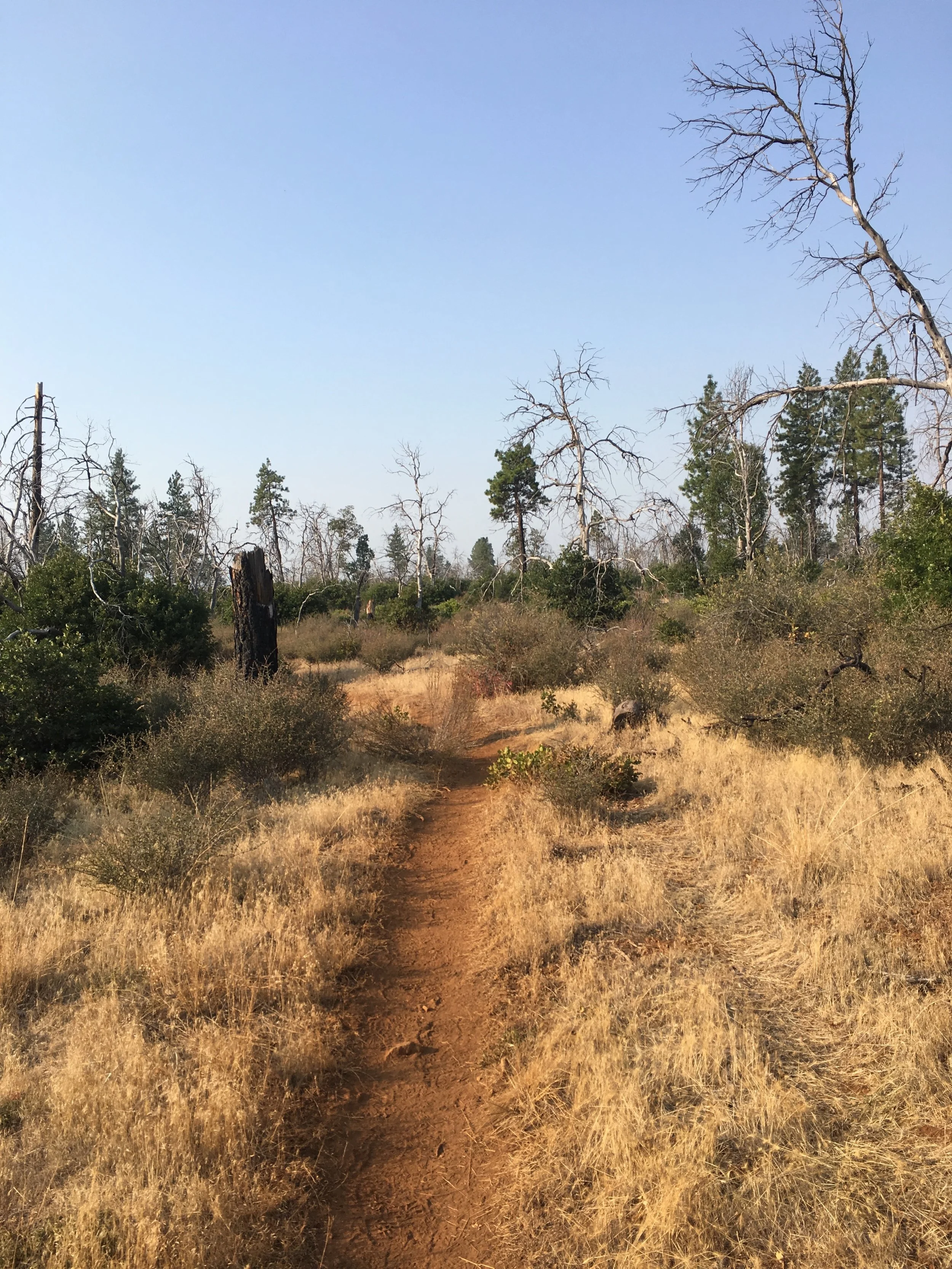 Week 9: Castillo to Burney Falls to Chester