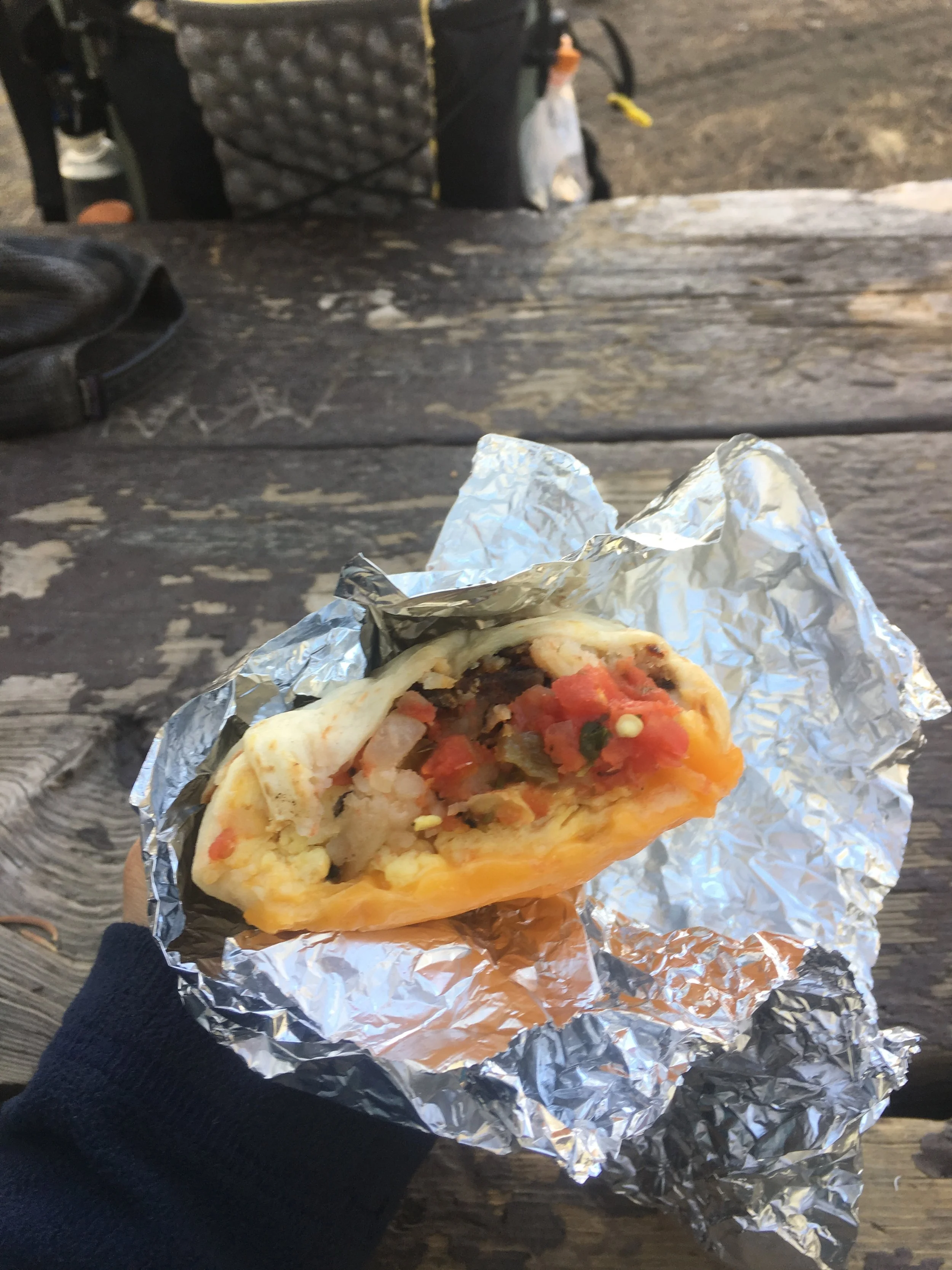 Week 14: Agua Dolce to Wrightwood to Big Bear