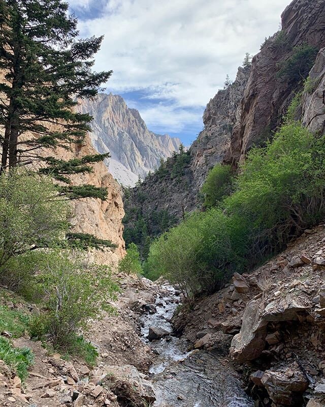 Local hike in Powell, WY to Bridal Veil Falls.