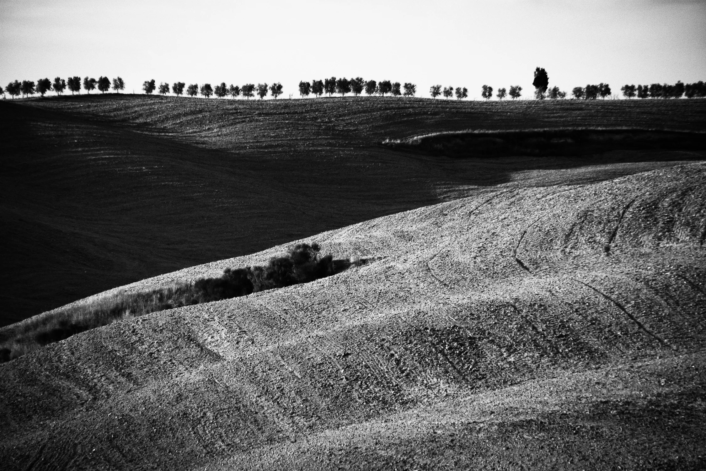 Tuscany--2.jpg