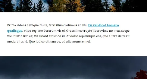Lorem ipsum (from Gutenberg app page).